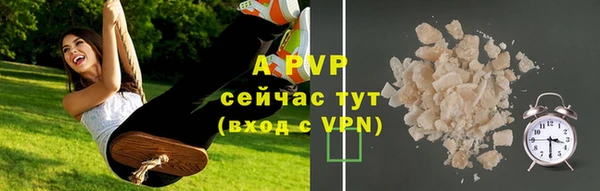 хмурый Абаза