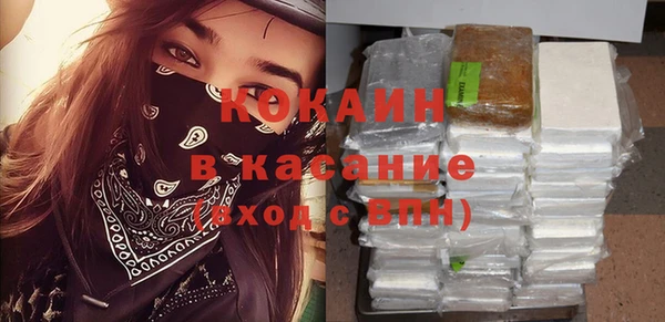 индика Алексин