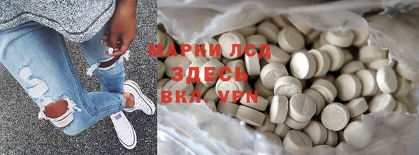 хмурый Абаза