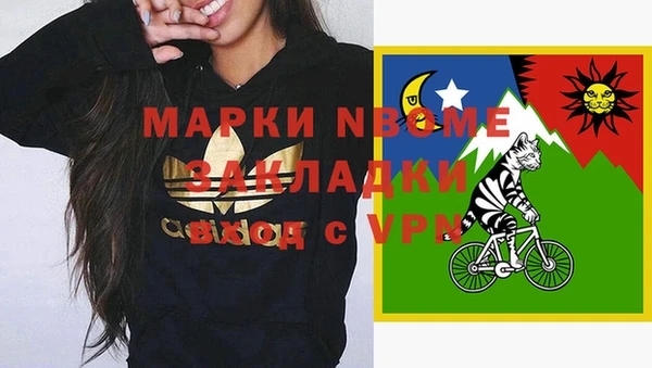 хмурый Абаза