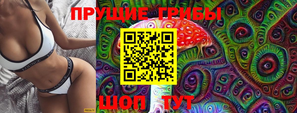 Псилоцибиновые грибы мицелий Белебей